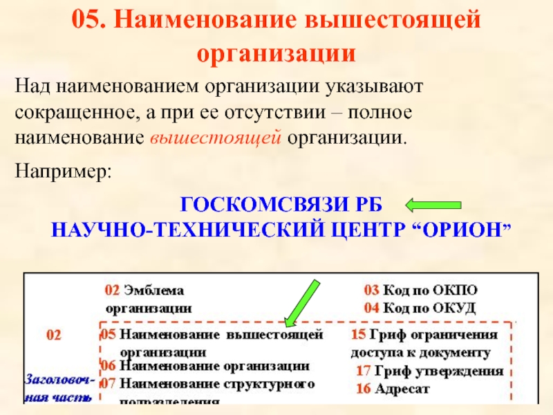 05. Наименование вышестоящей организации Над наименованием организации указывают сокращенное, а при ее отсутствии – полное наименование вышестоящей