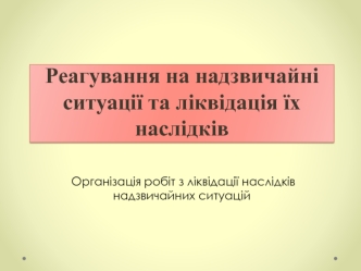 Реагування на надзвичайні ситуації та ліквідація їх наслідків