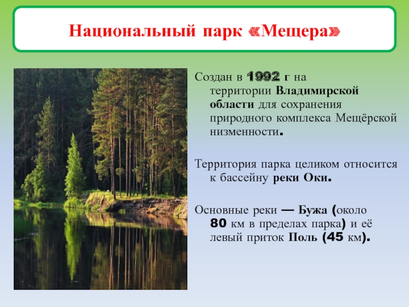 Реферат На Тему История Охраны Природы России