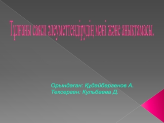 Тұлғаны саяси әлеуметтендірудің мәні және анықтамасы