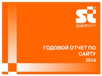Годовой отчет по сайту www.space-team.com