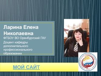 Портфолио Ларина Елена Николаевна