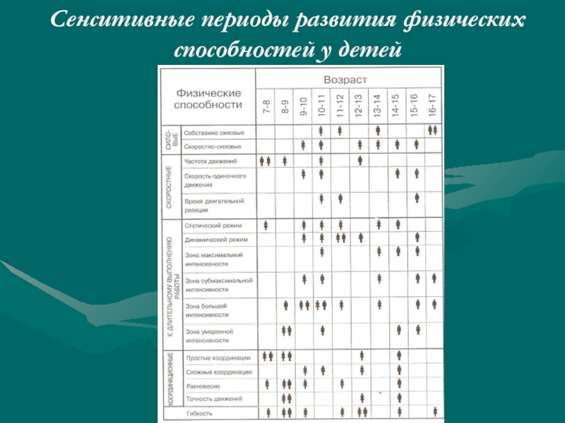 Развитие сенситивных способностей