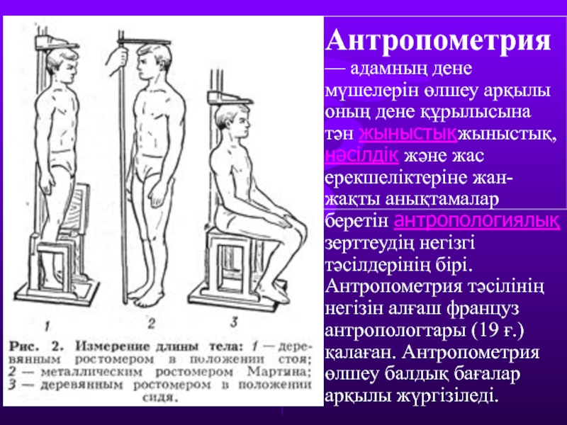 Презентация на тему антропометрия