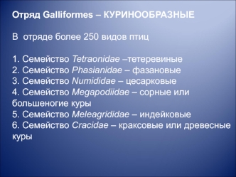 Отряд Galliformes - куринообразные