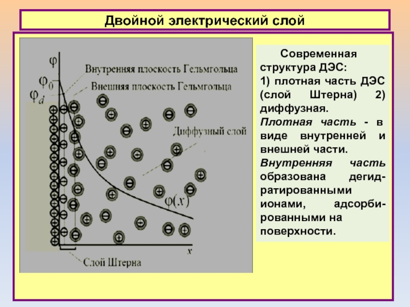 Двойной электрический слой