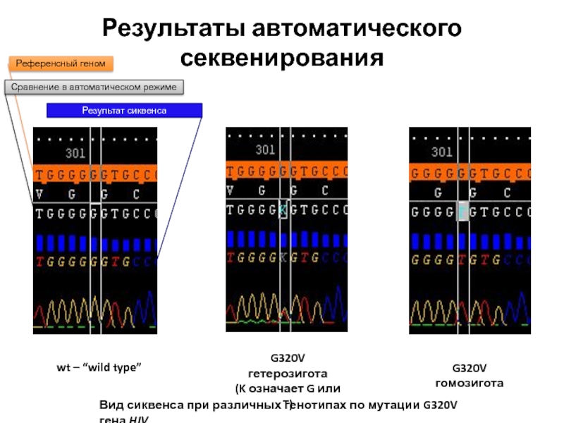 Секвенирование результаты. Секвенирование генов. Метод секвенирования в биологии. Секвенирование Гена. Сиквенс это в генетике.