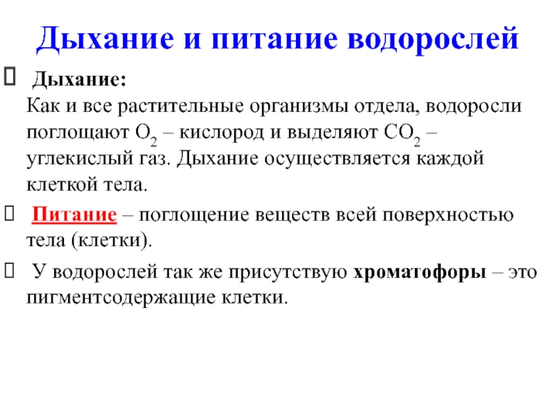 Питание водорослей. Какой частью тела водоросли поглощают кислород. Дыхание водорослей. Водоросли поглощают углекислый ГАЗ И выделяют кислород. Водоросли усваивают питательные вещества всей поверхностью тела.