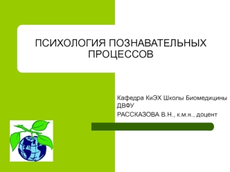 Психология познавательных процессов