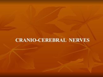 Cranio-cerebral nerves