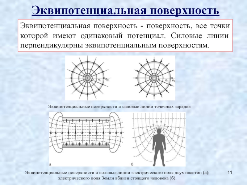 Охарактеризовать картину эквипотенциальных поверхностей