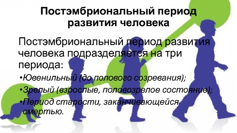 Стадии развития постэмбрионального периода. Периоды постэмбрионального развития человека. Ювенильный период постэмбрионального развития. Постэмбриональный период человека этапы. Ювенильный период человека.