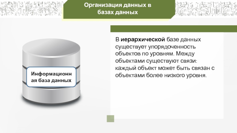 База данных как модель предметной области презентация