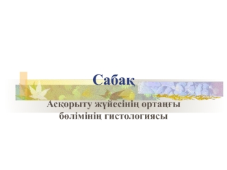 Асқорыту жүйесінің ортаңғы бөлімінің гистологиясы