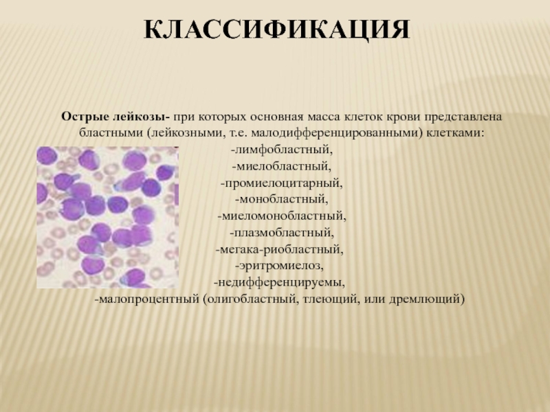 Недифференцированный лейкоз. Острый лейкоз классификация картина крови. Острый недифференцированный лейкоз картина крови. Острый промиелоцитарный лейкоз презентация. Острый промиелоцитарный лейкоз классификация.