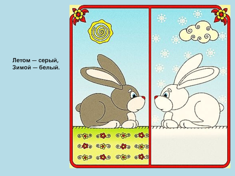 Зайчик 1 часть. Заяц задания для дошкольников. Зайчик задания для детей. Зайчик рисунок. Заяц рисунок для детей.