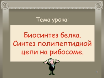 Биосинтез белка. Синтез полипептидной цепи на рибосоме