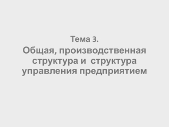 Общая, производственная структура и структура управления предприятием. (Тема 3)