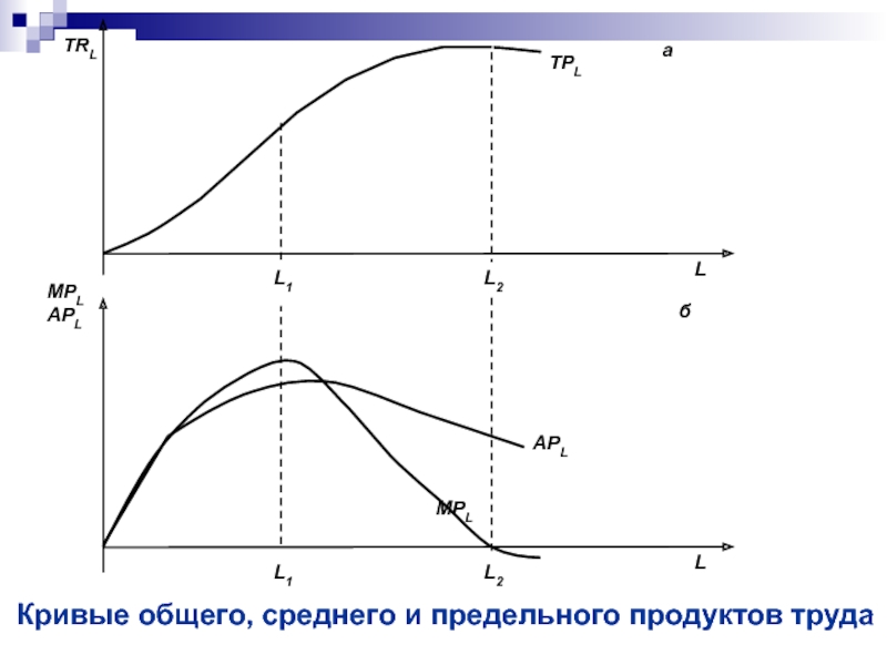 Общая кривая