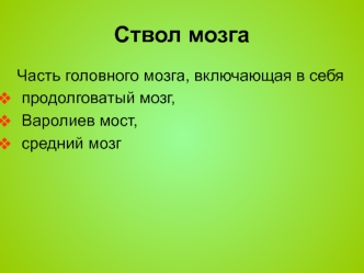 Ствол мозга. Часть головного мозга, включающая в себя продолговатый мозг, Варолиев мост, средний мозг