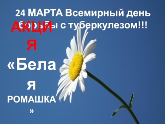 Презентация Microsoft Office PowerPoint