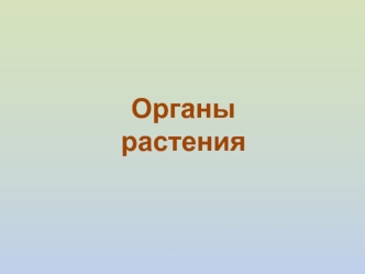 Органы растения