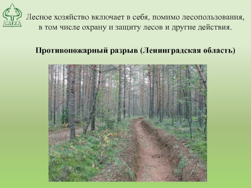Лесное хозяйство включает в себя, помимо лесопользования,  в том числе охрану и защиту лесов и другие