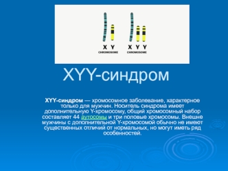 XYY-синдром. Генетические особенности