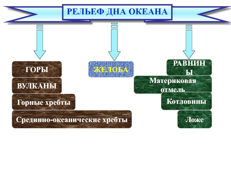 Рельеф суши и дна океана