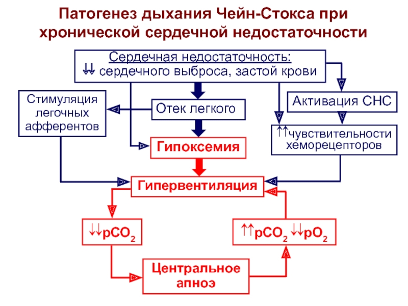 Дыхательная недостаточность патофизиология презентация