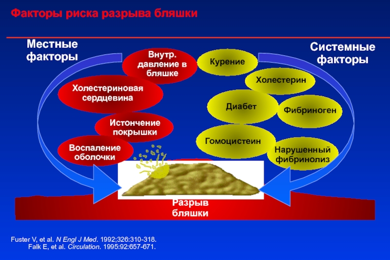 Системные факторы. Гомоцистеин фактор риска атеросклероза. Гомоцистеин 40. Фибриноген и гомоцистеин.