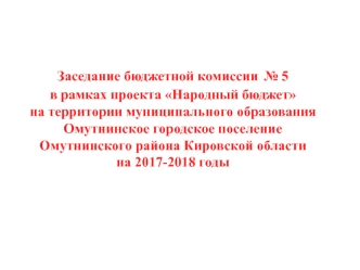 Заседание бюджетной комиссии № 5 в рамках проекта Народный бюджет на территории Омутнинского городского поселения