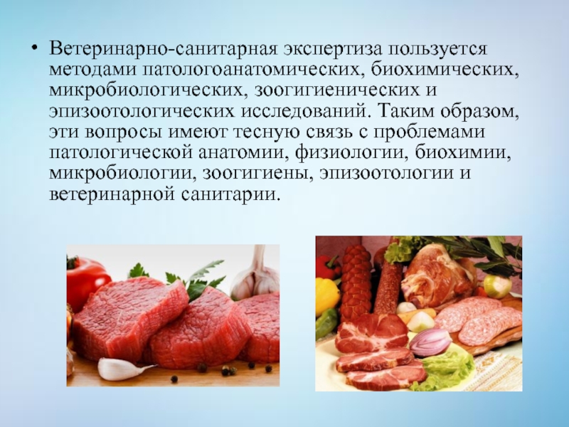 Экспертиза мяса