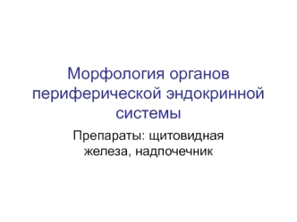 Морфология органов периферической эндокринной системы