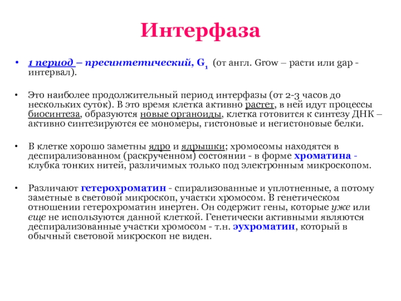 3 этапа интерфазы. Пресинтетический период клетки. G1 период интерфазы. Характеристика периодов интерфазы. Интерфаза пересентетический период.