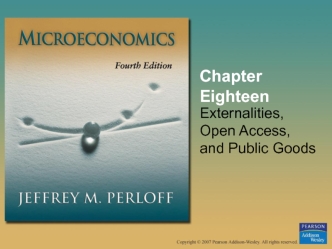 Chapter Eighteen. Externalities, Open Access, and Public Goods