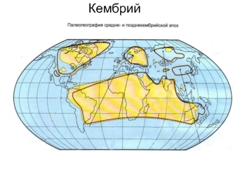 Кембрий. Палеогеография средне- и позднекембрийской эпохи