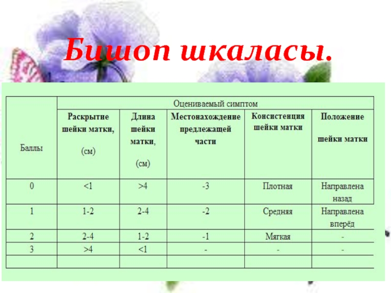 Бишоп шейка матки. Шкала Бишопа. Бишоп оценка. Бишоп баллы. Классификация Бишопа.