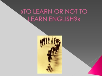 To learn or not to learn english