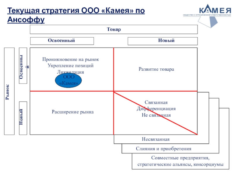 Текущая стратегия ООО «Камея» по Ансоффу