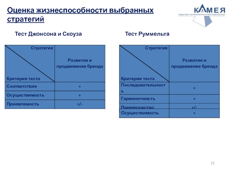 Оценка жизнеспособности выбранных стратегий    Тест Джонсона и Скоуза 				  Тест Руммельта