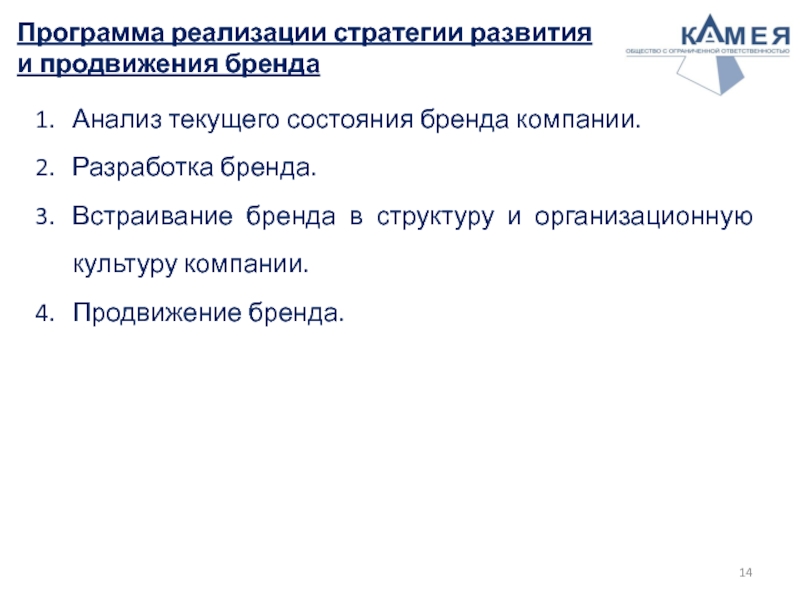 Программа реализации стратегии развития и продвижения бренда Анализ текущего состояния бренда компании. Разработка бренда. Встраивание бренда в