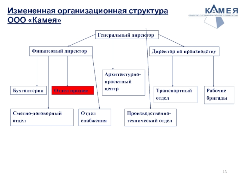 Измененная организационная структура ООО «Камея»