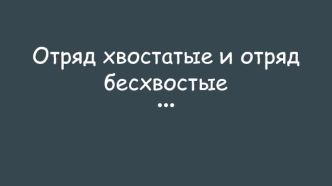 Хвостатые и бесхвостые земноводные