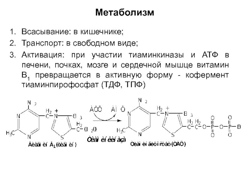 Печень атф. ТДФ формула биохимия. Тиамин + АТФ. Витамин b1 биохимия. Витамин в1 реакции биохимия.