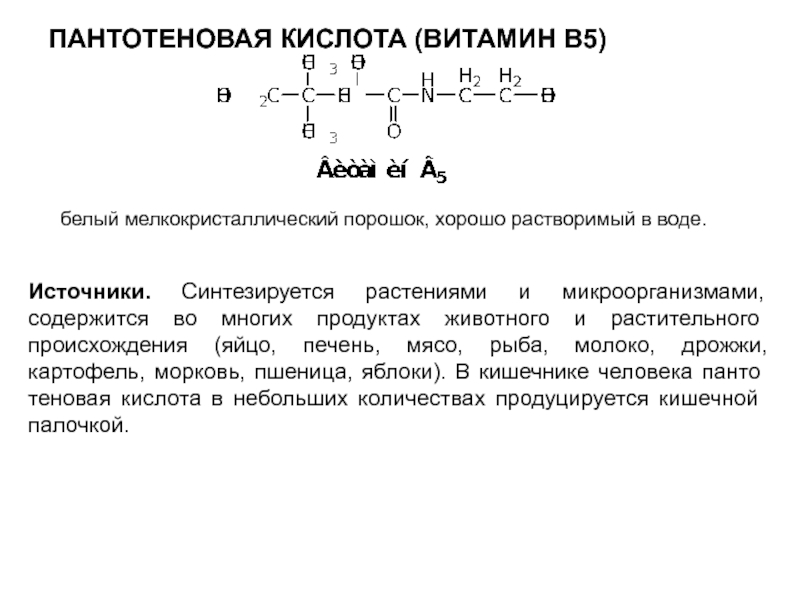 Пантотеновая кислота