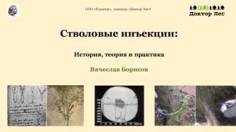 Стволовые инъекции. История, теория и практика. ООО Евпатор, команда Доктор Лес