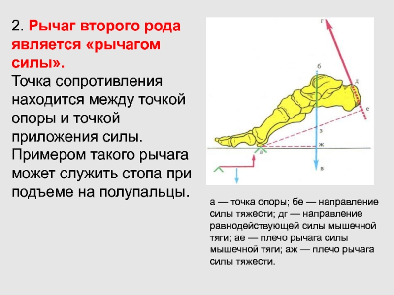 Точки опоры роли