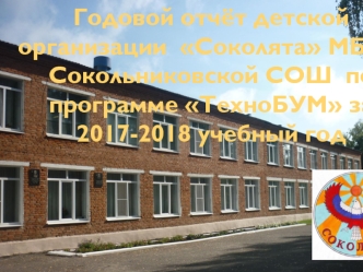 Годовой отчёт детской организации Соколята