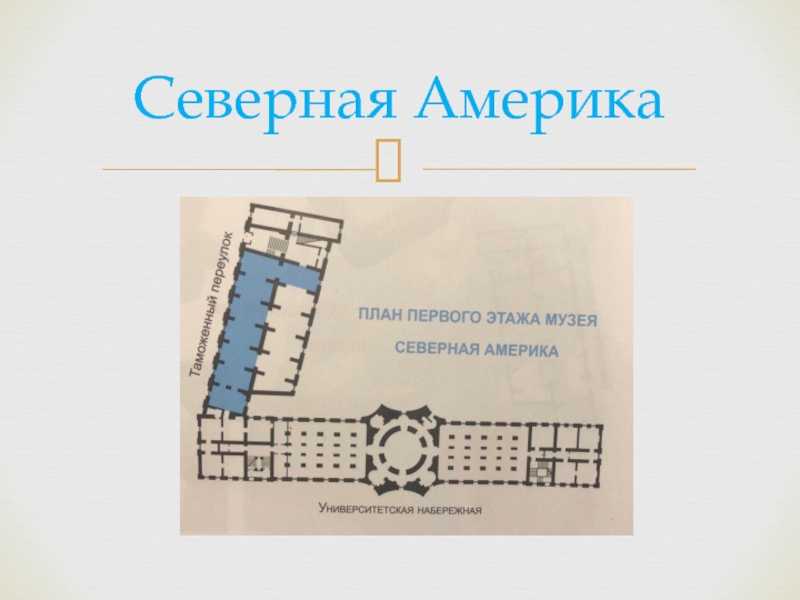 Кунсткамера билеты пушкинская карта